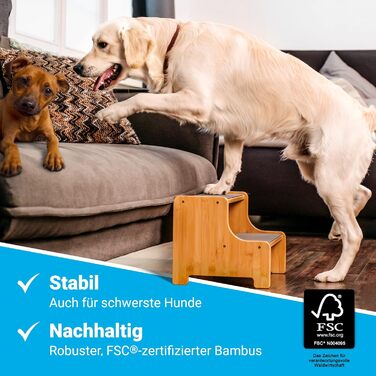 AMAZING Pet Stairs for Small, Medium, and Large Dogs, Cats. 3 Steps | Pet Stairs, Suitable for Young and Old Cats | 40 cm High for Sofa, Bed | Gentle on Joints, an Alternative to Dog Ramps