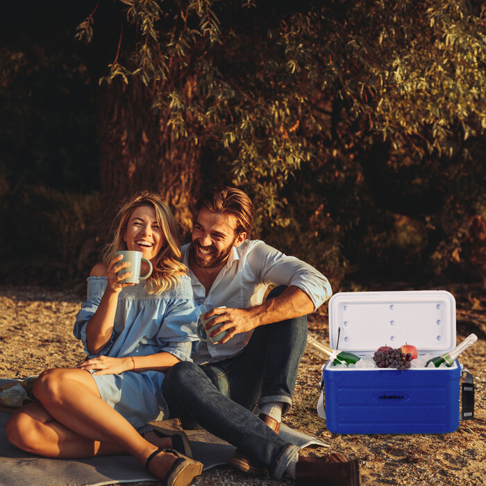 Relaxdays 20 l Cooler Box with Carrying Handle