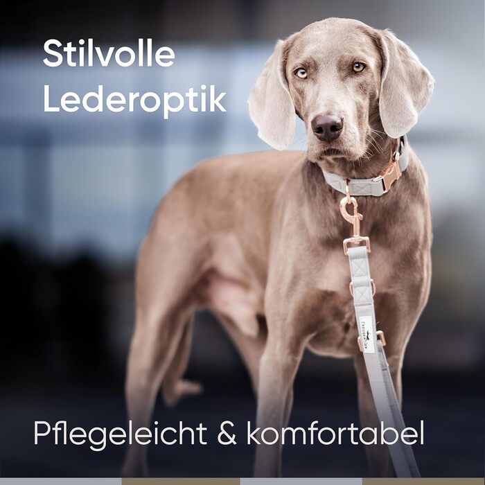 Нашийник для собак Freudentier з веганської шкіри, подарунковий мішечок, м'який, регульований та міцний. Підходить для собак середніх та великих порід, обхват шиї 34-49 см, ширина 2 см.