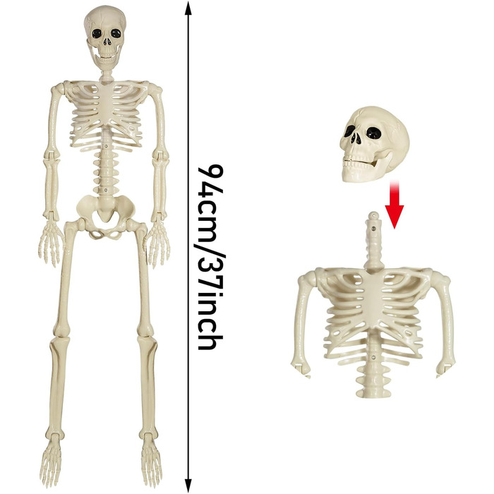 Halloween Plastic Skeleton, 90cm Full Body Halloween Skeleton with Movable Joints for Halloween Indoor Garden House Patio Decorations (2 Pack)