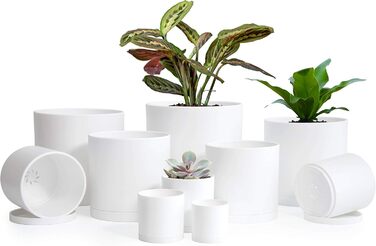High-quality plastic plant pots, 2 inches (5.1 cm), available in sizes 2.4, 2.5, 3, 3.5, 3.7, 4, 4.7, 5, 5.5, 6 inches - complete set of 10 white plant pots with drainage holes and seamless saucers.