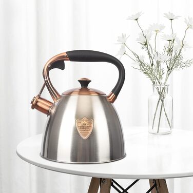 Чайник для плити Teekessel з нержавіючої сталі, 2,9 л