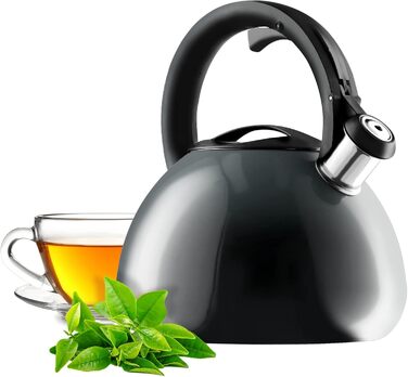 Чайник KADAX з нержавіючої сталі, 3л, з свистком, ретро дизайн, різні кольори, ефект Ombre, (Блакитний/Сірий)