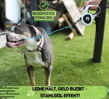 Snuggle Paws Retractable Dog Leash - 5m LED Light, Poop Bag Dispenser, Chew-Proof Steel Cable, Reflective Nylon Band | Extendable Leash for Small Dogs up to 20kg
