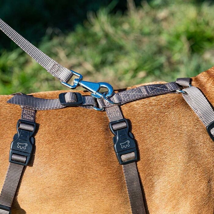 Шлейка для собак Ferplast Brave, середній розмір, коричнева. Безпечна та регульована шлейка з 6 застібками для грейхаундів та інших середніх порід.