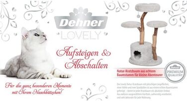 Котячий будиночок Dehner Premium Lovely: кігтеточка, лежанка, печера | для великих та маленьких котів | дерево, плюш, сизаль | стабільний, сучасний, сірий | 110 x 60 x 45 см
