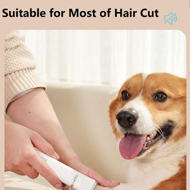Набір 4-в-1 для стрижки собак та котів: машинка для стрижки, тример для лап, точилка для кігтів. Безшумна, акумуляторна, IPX7, 4 насадки для догляду за тілом, очима, вухами та мордою.