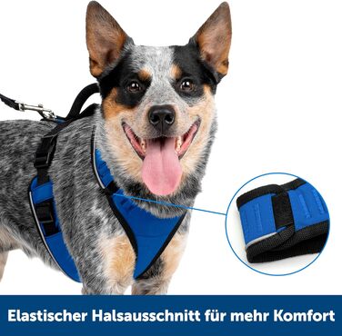 Шлейка для собак PetSafe EasySport, повністю з м'якою підкладкою, для собак вагою 9-16,5 кг, розмір S, блакитна
