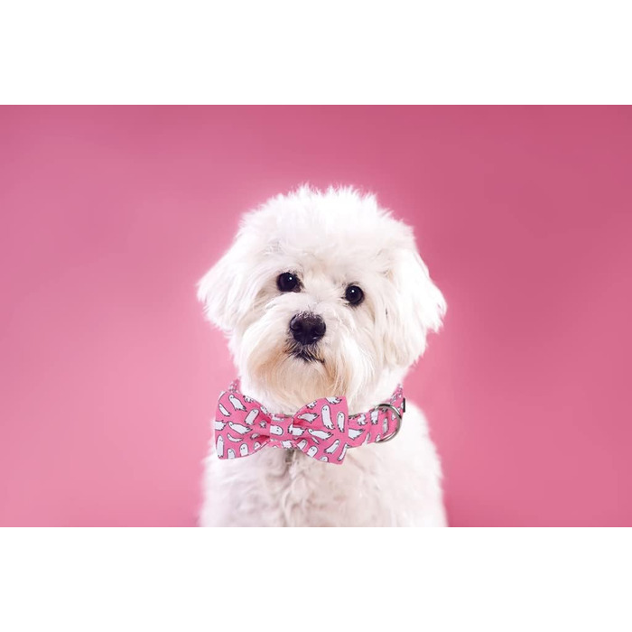 Елегантний нашийник Lionet Paws для собак з краваткою, бавовна, зручний, з металевим замком, розмір 40-66 см, Ghost