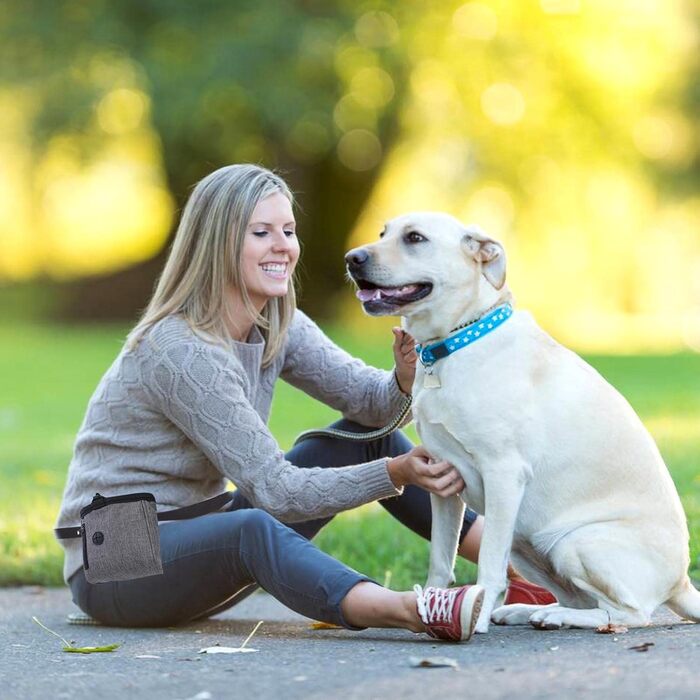 Водонепроникна сумка для ласощів для тварин AYNKH, професійна сумка для тренування цуценят та собак, з регульованою застібкою, багатофункціональна для подорожей та відпочинку на природі