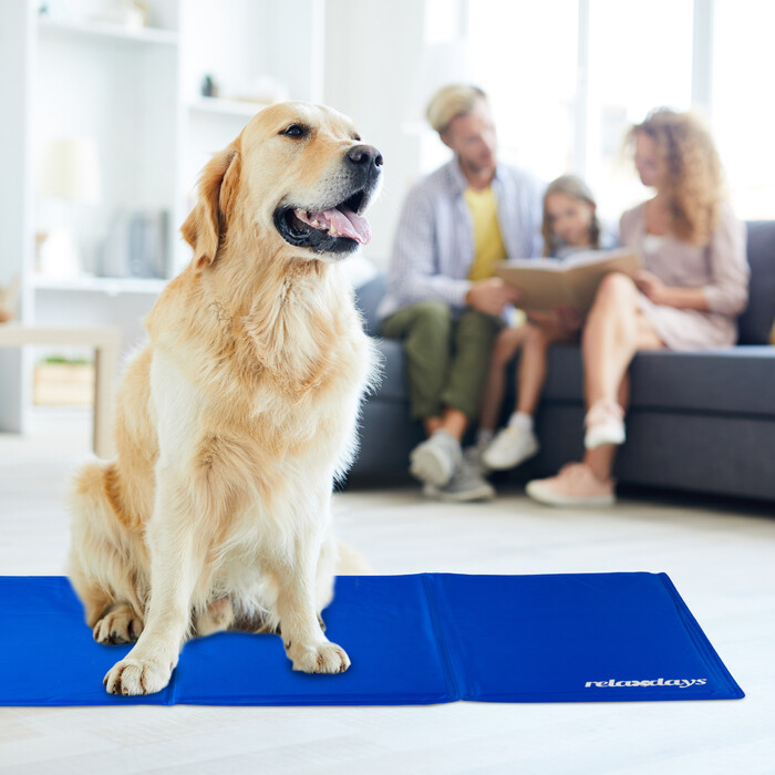 Relaxdays Cooling Mat for Dogs, blue