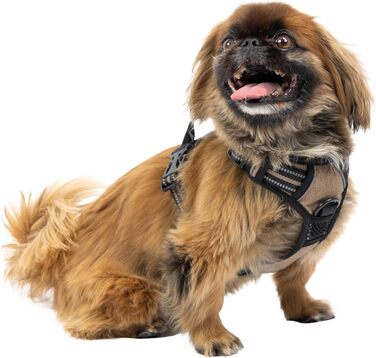 Шлейка для собак Ferplast середнього розміру, 2 гачки для контролю, антинатяжна, регульована, світловідбиваюча та дихаюча. Ідеальна для тренувань, колір бежевий (коричневий), розмір M