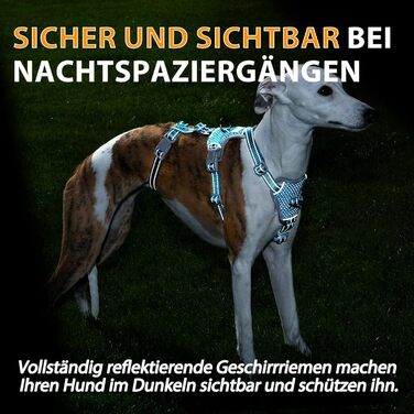 Шлейка Huntboo для собак: безпечна від виривання, антистресова, з відбиваючими елементами, регульована, легка (розмір S, блакитна)