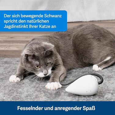 PetSafe Cat Toy, Interactive Activity Toy with Timer, 3 AA Batteries Required (Rolorat)