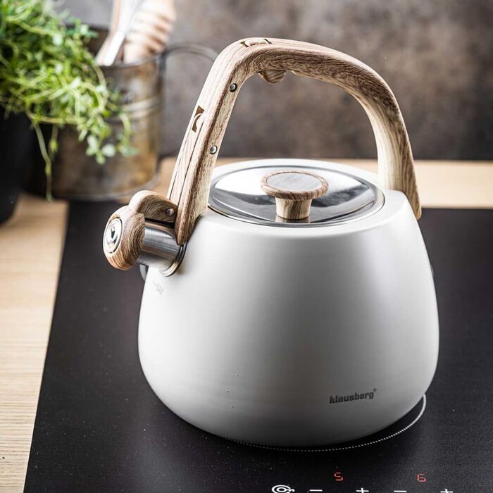 Чайник зі сталі 2.5L Induktion (Крем)