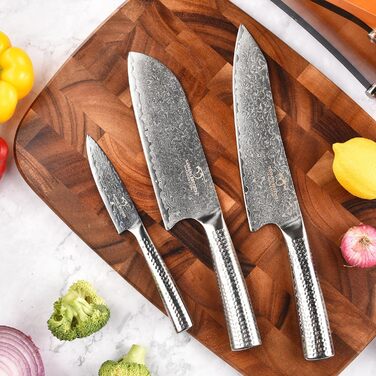Набір кухонних ножів Дамаскус, 4 шт. з бруском: кухонний ніж, сантоку, ніж для чищення. Професійний набір з нержавіючої сталі Дамаск, з молотковими ручками