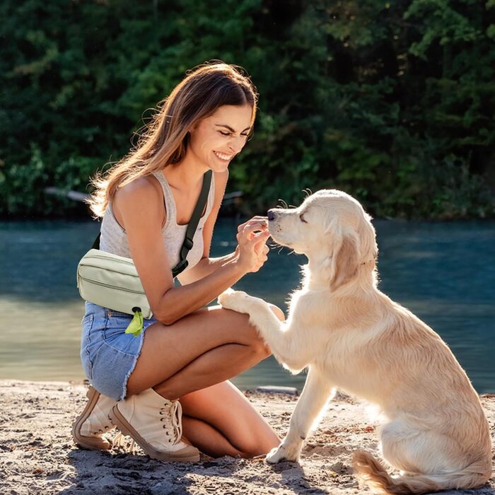 Сумка для собак з карабіном, сумка для дресирування цуценят з відділенням для ласощів та контейнером для відходів, зручна сумка для перенесення їжі та приналежностей для тварин з регульованим поясом (HoneyDew)