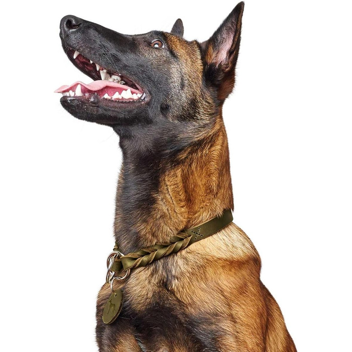 HUNTER Halsung Dressur SOLID EDUCATION: міцна шкіряна хальцтвочка для дрессури, ручної роботи, з гальмівним кільцем, Made in Germany, розмір L-XL, оливковий колір