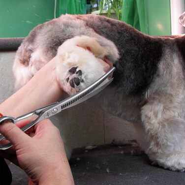 Ножиці для грумінгу собак та котів PURPLEBIRD 7.0 дюймів, вигнуті, з японської сталі 440C, ручна робота