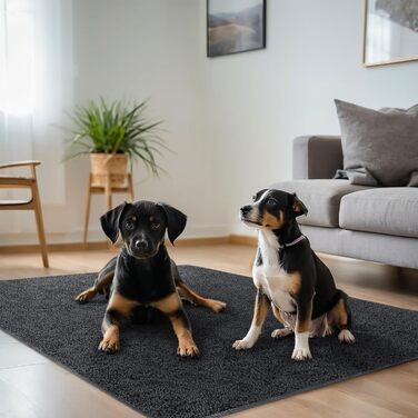 Водонепроникний килимок для собак 100x120 см - м'який, зручний, для активного відпочинку та дому, підходить для собак середніх порід до 16 кг, чорно-білий (L)