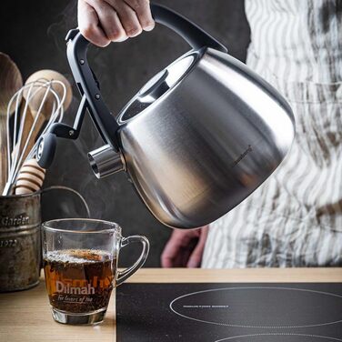 Чайник сталевий 2.5L Induktion (сріблястий)