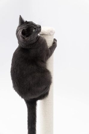 Petrebels Premium Quality Scratching Post Maine, 90 cm High, with Extra Stable Base Plate and Natural Sisal Post, 40 x 40 x 90 cm, Cream/Beige Color