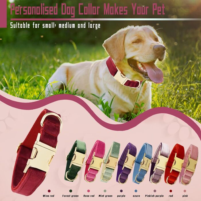 Персоналізоване собаче нашийник з металевою застібкою: напис та номер телефону. Регульовані розміри для собак середніх та великих порід.