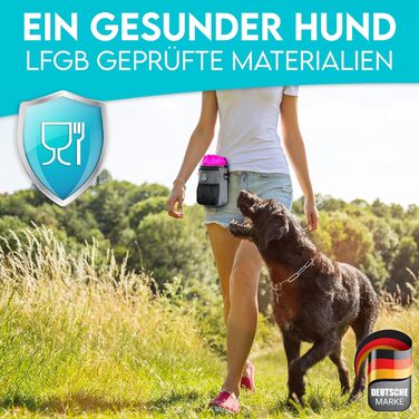Лекарство для собак HUND IST KÖNIG Premium - місткий набір для прогулянок та тренувань з дозатором для відходів та електронною книгою (сірий, 16 x 18 x 6 см)