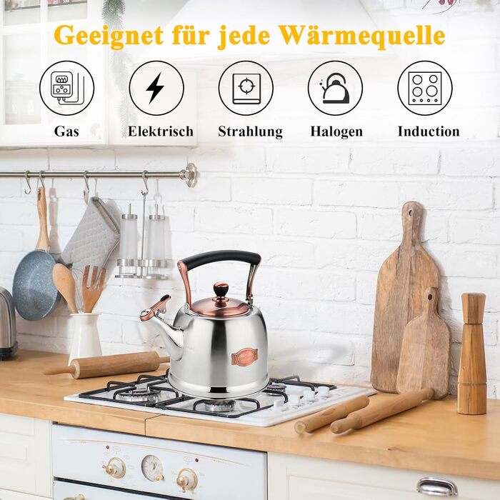 Нержавійна чайник для кемпінгу 3L з носиком, для плити та індукції, срібний