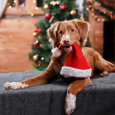 М'яка флісова підстилка для собак і котів Nobleza, 160 x 120 см, сіра