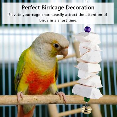 Parrot bones, fragile molars, chewing toys, grinding birds, beak and calcium, bone supplements, parrots, cockatiels