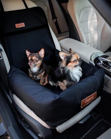 Крісло для собак у машину Petsen з іменем, чорне, для маленьких собак, з поводом