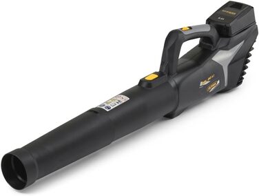 Alpina Cordless Leaf Blower ABL 20 Li Kit, For a well-maintained garden, 20 V (4 Ah) battery, 280 W, space-saving detachable tube, Includes battery and charger.