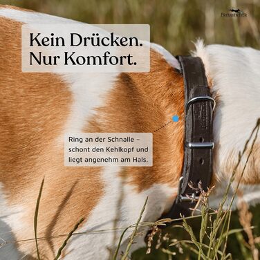 Шкіряний нашийник для собак Freudentier Alsterufer - ручної роботи, сертифікована жирова шкіра, Midnight, 29-40,5 см