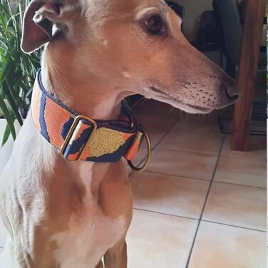 Нашийник для собак Zugstopp з м'якою підкладкою, мартингал, регульований (до 44 см), ширина 5 см, для тренувань, металеві деталі: латунь