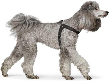 Нашийник для собак HUNTER DIMARO, чорний, з м'якої та міцної шкіри, регульований, для цуценят та собак, що бояться намордників, розмір L