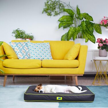 Ортопедичний лежак для собак Ferplast Polo - лежак для котів, миючий, знімний, чорний, 80 x 50 x 8 см