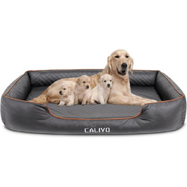 колір: чорний