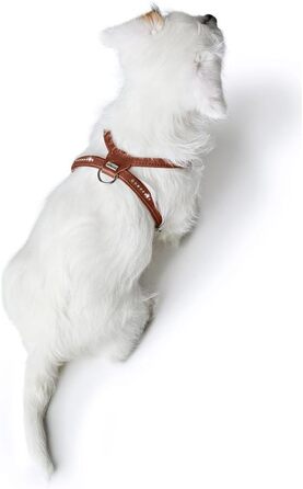 Нашийник для собак HUNTER Round & Soft Canadian UP, колір: Cognac, м'яка, еластична шкіра, прошитий по колу, щадний до хутра, екологічний, Made in Germany, розмір: S/1 S/1 cognac