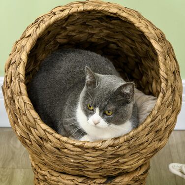 Котячий будиночок PawHut з водяної гіацинти, з подушкою, коричневий, 42x33x52 см – кошик-лежак для котів