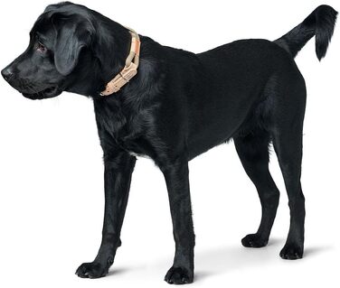 Нашийник для собак HUNTER Malia, бордово-коричневий, з м'якого шнура та міцної шкіри, легкий, зносостійкий, сучасний та елегантний дизайн, яскраві кольори, Made in Germany, розмір 45, бордово-коричневий