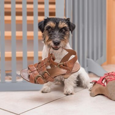 Захисне ворота Relaxdays для собак, розкладне, сіре (70 x 207 см)