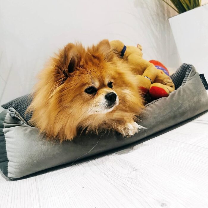 Клітка-лежанка для котів та собак 60x40 см, Graphit (4L Textil Teo)