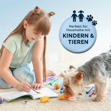 CLEANmaxx Професійний пароочисник для м'яких меблів та килимів Pro Steam | 3 в 1: очищувач м'яких меблів, точковий очищувач, миючий пилосос | Видаляє плями з килимів, авто, диванів тощо (червоний з шампунем, Pro Power 600W)