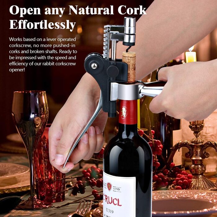 Corkscrew Wine Gift Set, Premium Wine Opener Set with Foil Cutter, Wine Pourer, Vacuum Wine Stopper, for All Types of Corks, Gift for Men and Women