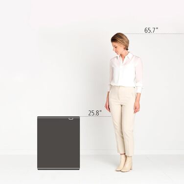 Відро для сміття Brabantia біле, 60 літрів, з одним внутрішнім відром