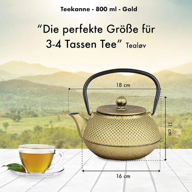 Чайник заварний чавунний TEEKANNE у японському стилі (800 мл) з нержавіючою сталею, преміум-якість