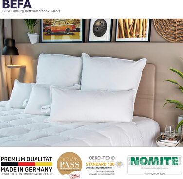 Подушка BEFA NATUR 40x80 см, 3-камерна, 90% пух, 10% перо, для алергіків, сертифікат Öko-Tex 100, Downpass, Німеччина (2 шт.)