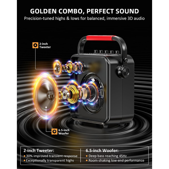 Караоке Машина з 2 мікрофонами, Bluetooth, PA Система з FM, USB, TF, AUX, Ехо, Регулювання Bass/Treble, Чорний