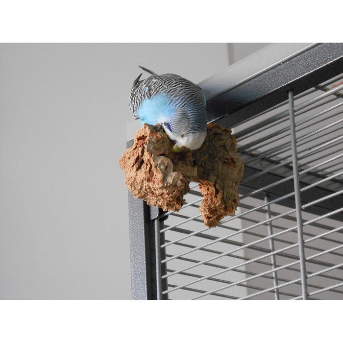 6-Piece Shredder and Nibbling Set for Birds | Basic Equipment for Bird Owners | Budgie Toy | Cockatiel Toy
